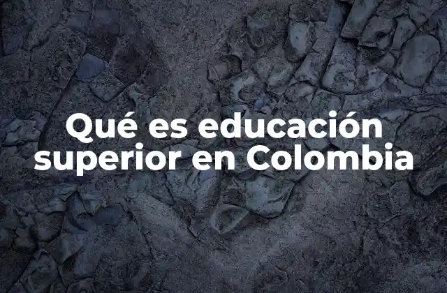 Qué es Educación Superior en Colombia