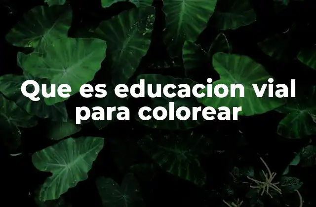 Que es Educacion Vial para Colorear