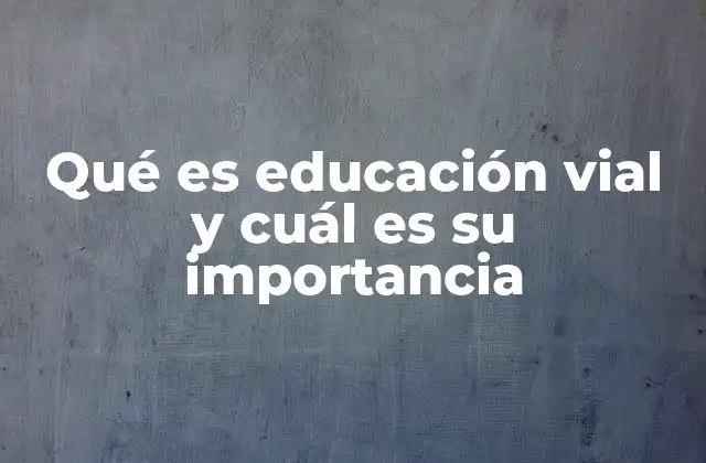 Qué es Educación Vial y Cuál es Su Importancia