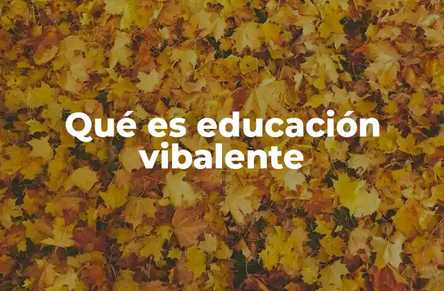 Qué es Educación Vibalente