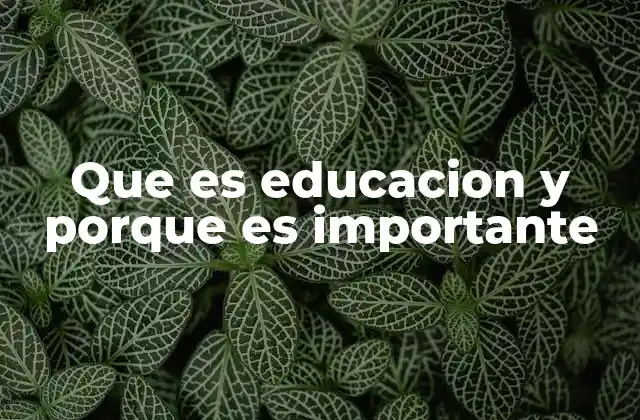 Que es Educacion y Porque es Importante