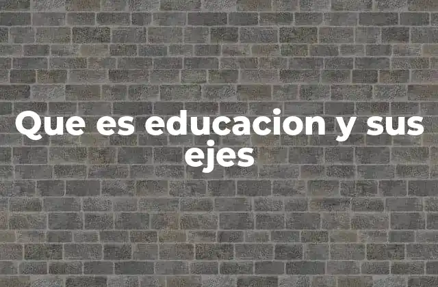 Que es Educacion y Sus Ejes