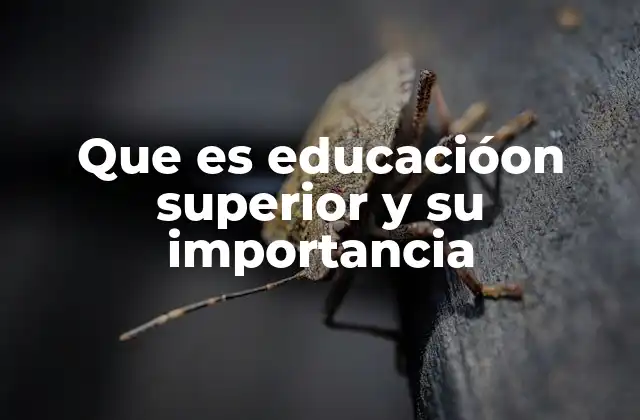 Que es Educacióon Superior y Su Importancia