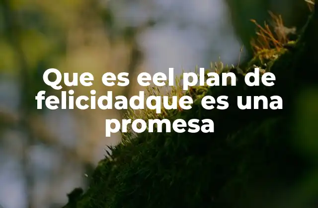 Que es Eel Plan de Felicidadque es una Promesa