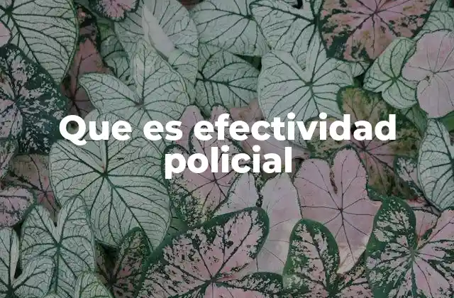 Que es Efectividad Policial