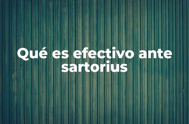 Qué es Efectivo ante Sartorius