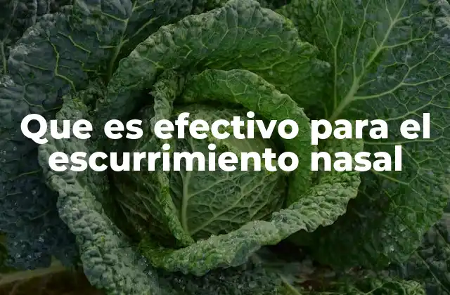 Que es Efectivo para el Escurrimiento Nasal 2 Causas del escurrimiento nasal y cómo abordarlas
