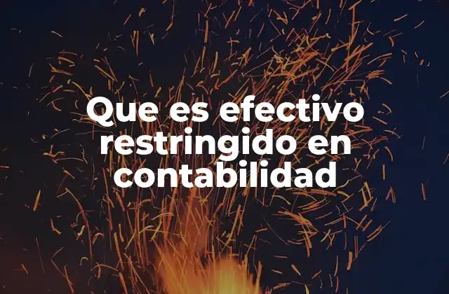 Que es Efectivo Restringido en Contabilidad
