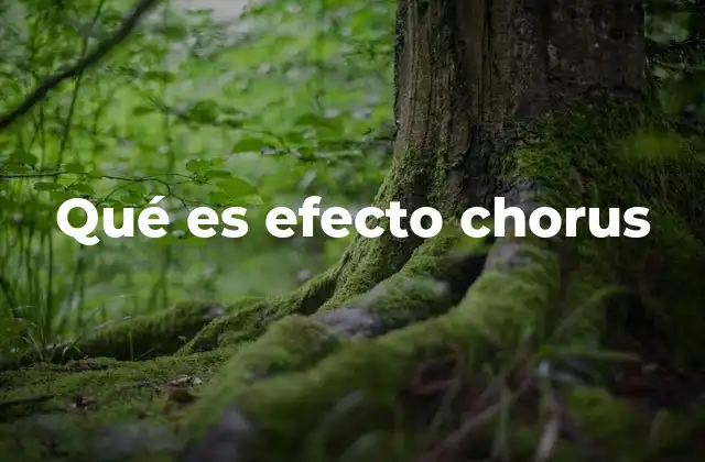 Qué es Efecto Chorus