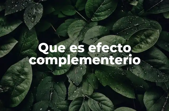 Que es Efecto Complementerio