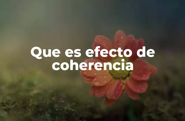 Que es Efecto de Coherencia