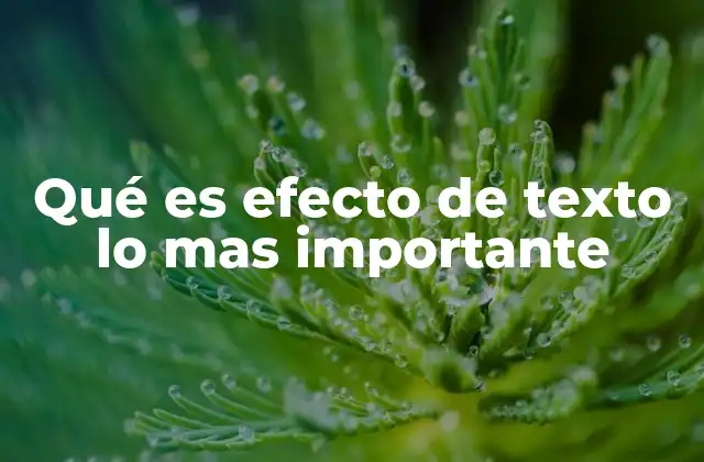 Qué es Efecto de Texto Lo mas Importante 2 El impacto visual del texto animado en la comunicación digital