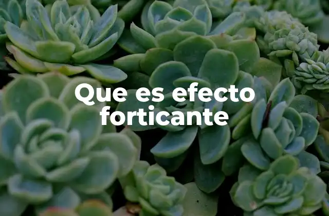 Que es Efecto Forticante