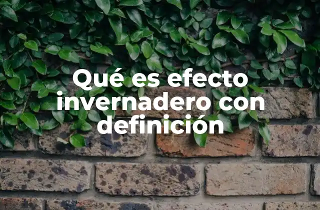 Qué es Efecto Invernadero con Definición
