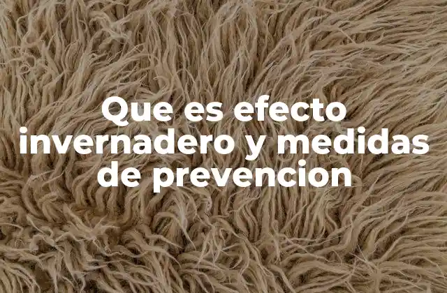 Que es Efecto Invernadero y Medidas de Prevencion