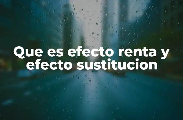 Que es Efecto Renta y Efecto Sustitucion