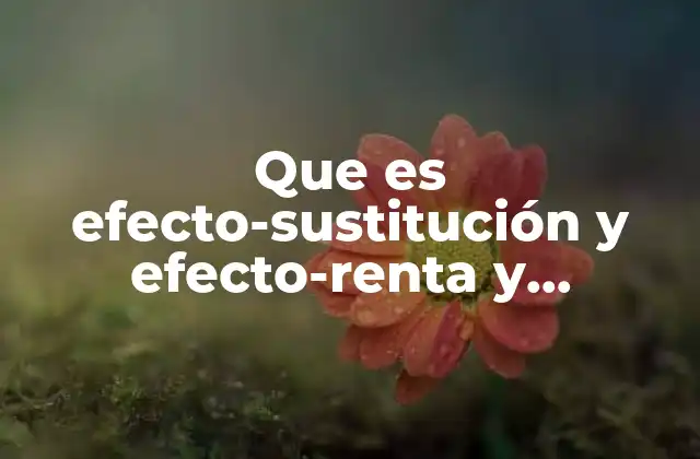 Que es Efecto-sustitución y Efecto-renta y Ejemplos
