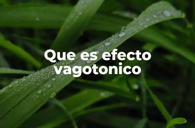 Que es Efecto Vagotonico