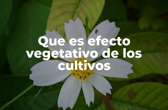 Que es Efecto Vegetativo de los Cultivos