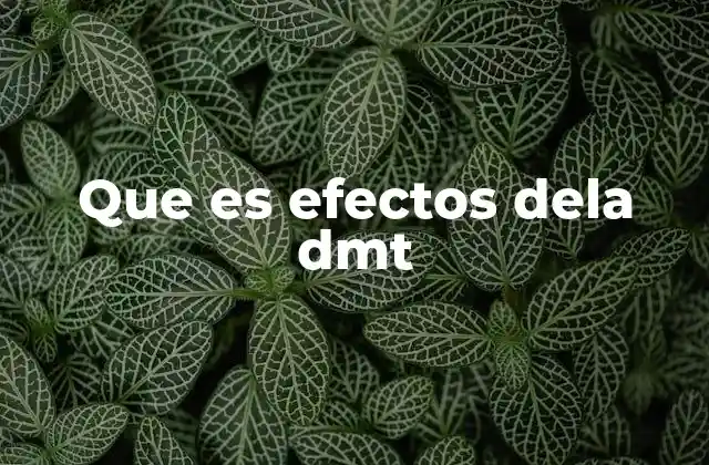 Que es Efectos Dela Dmt