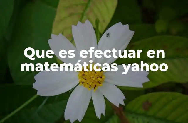 El rol de efectuar en la resolución de problemas matemáticos