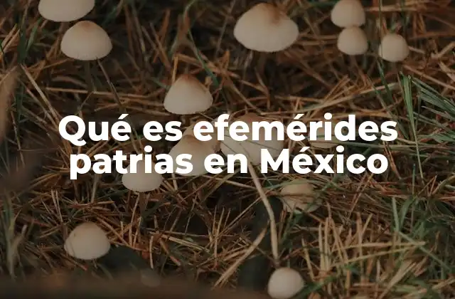 Qué es Efemérides Patrias en México