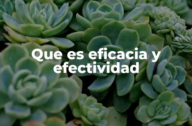 Que es Eficacia y Efectividad