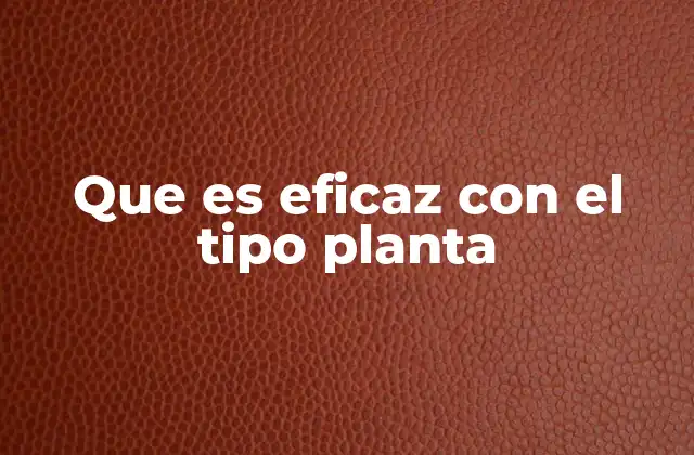 Que es Eficaz con el Tipo Planta 2 La importancia de la relación entre tipos en el juego