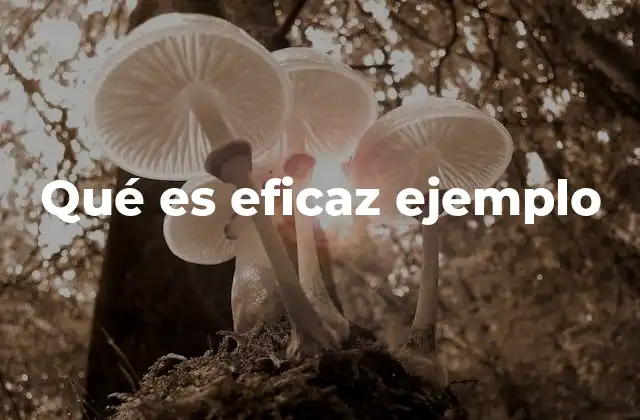 Qué es Eficaz Ejemplo