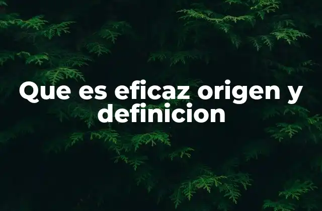 Que es Eficaz Origen y Definicion
