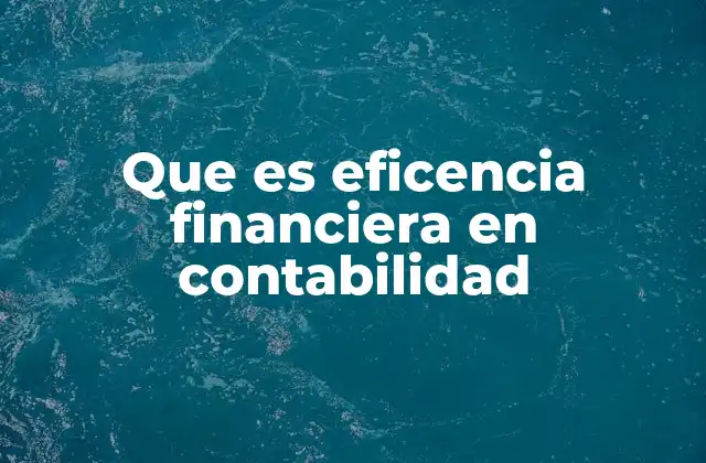 Que es Eficencia Financiera en Contabilidad