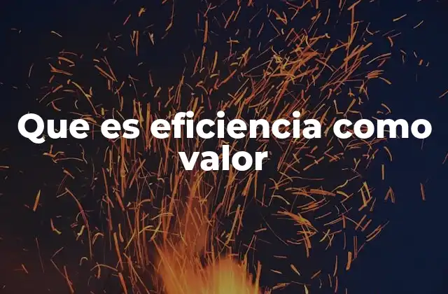 Que es Eficiencia como Valor
