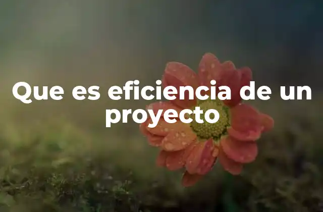 Que es Eficiencia de un Proyecto