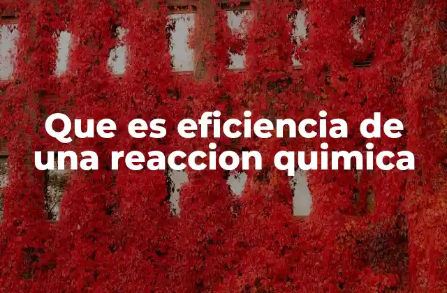 Que es Eficiencia de una Reaccion Quimica 2 Factores que influyen en la eficiencia de las reacciones químicas