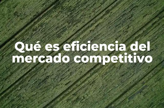 Qué es Eficiencia Del Mercado Competitivo 2 Características que permiten la eficiencia en los mercados competitivos