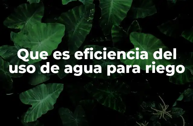 Que es Eficiencia Del Uso de Agua para Riego 2 La importancia de gestionar el agua con responsabilidad en la agricultura