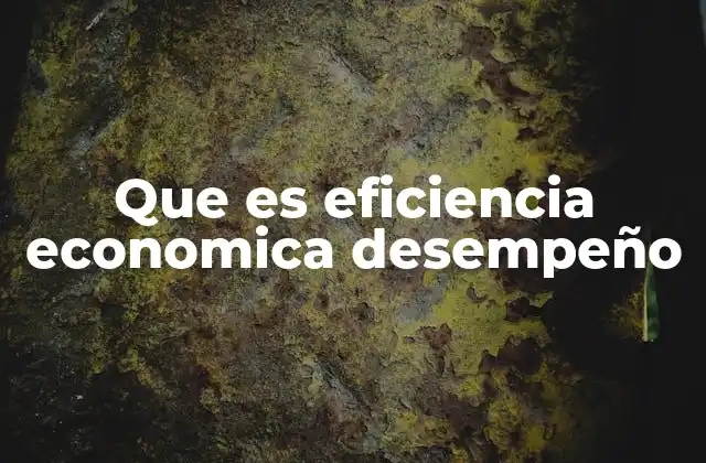 Que es Eficiencia Economica Desempeño