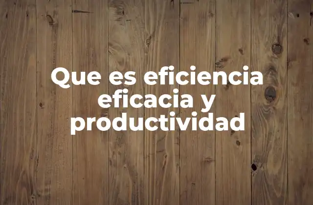 Que es Eficiencia Eficacia y Productividad 2 La importancia de equilibrar los tres conceptos en el entorno laboral
