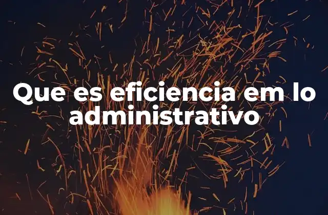 Que es Eficiencia Em Lo Administrativo