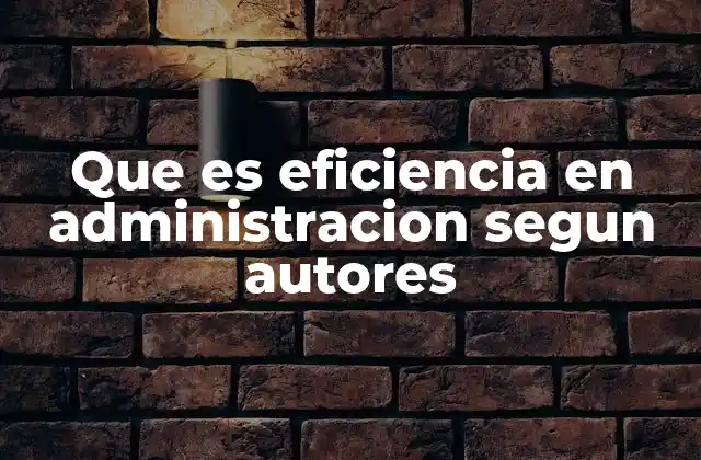 Que es Eficiencia en Administracion Segun Autores