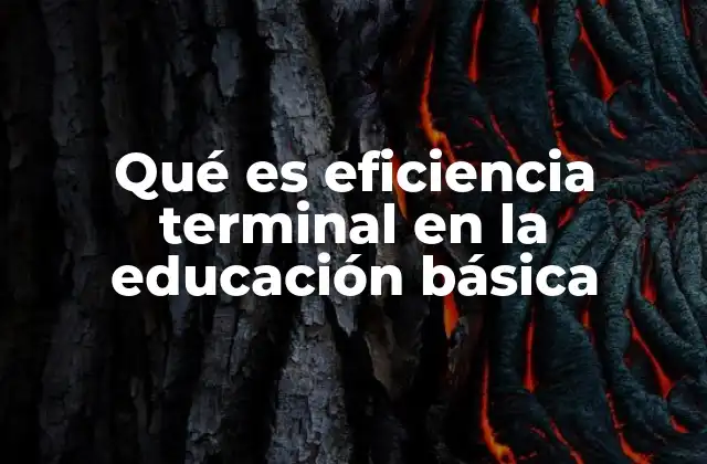Qué es Eficiencia Terminal en la Educación Básica 2 El impacto de la eficiencia terminal en la formación de las nuevas generaciones