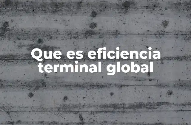 Que es Eficiencia Terminal Global