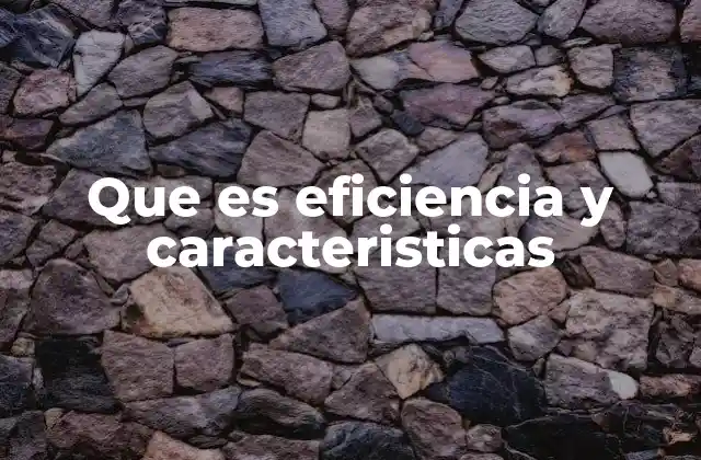 Que es Eficiencia y Caracteristicas