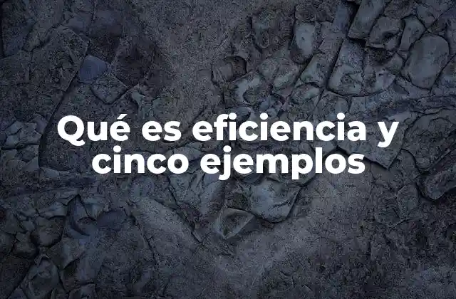 Qué es Eficiencia y Cinco Ejemplos