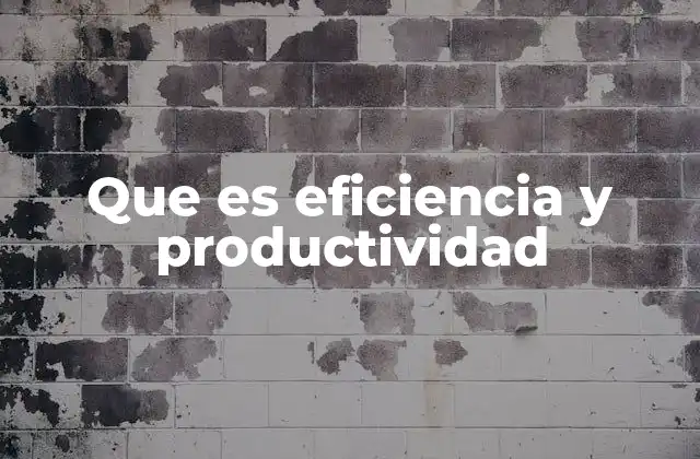 Que es Eficiencia y Productividad