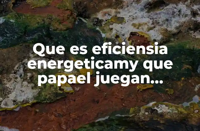 Que es Eficiensia Energeticamy que Papael Juegan Laspersonas