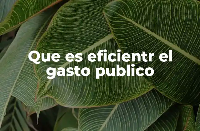 Que es Eficientr el Gasto Publico