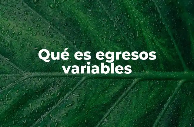 Qué es Egresos Variables