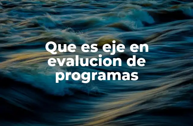 La importancia de los ejes en la evaluación de programas