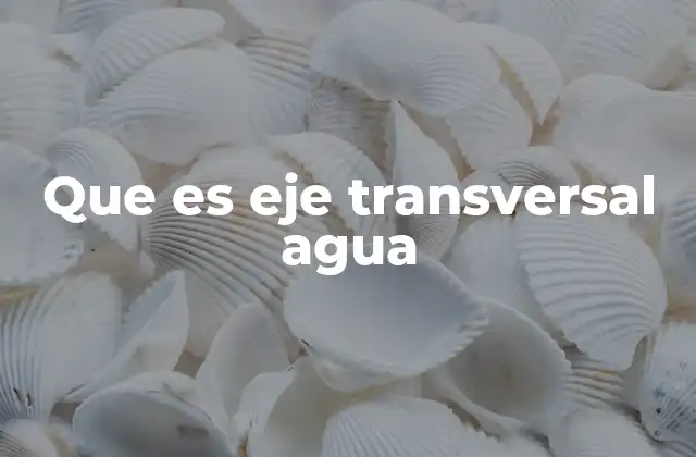 Que es Eje Transversal Agua